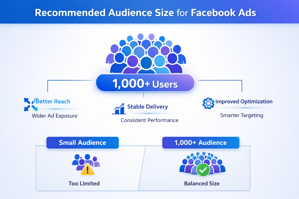 Custom audience size showing around 1000 users for better ad performance
