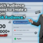 In this article we are going to discuss about How much Audience do you need to create a Custom Facebook Audience