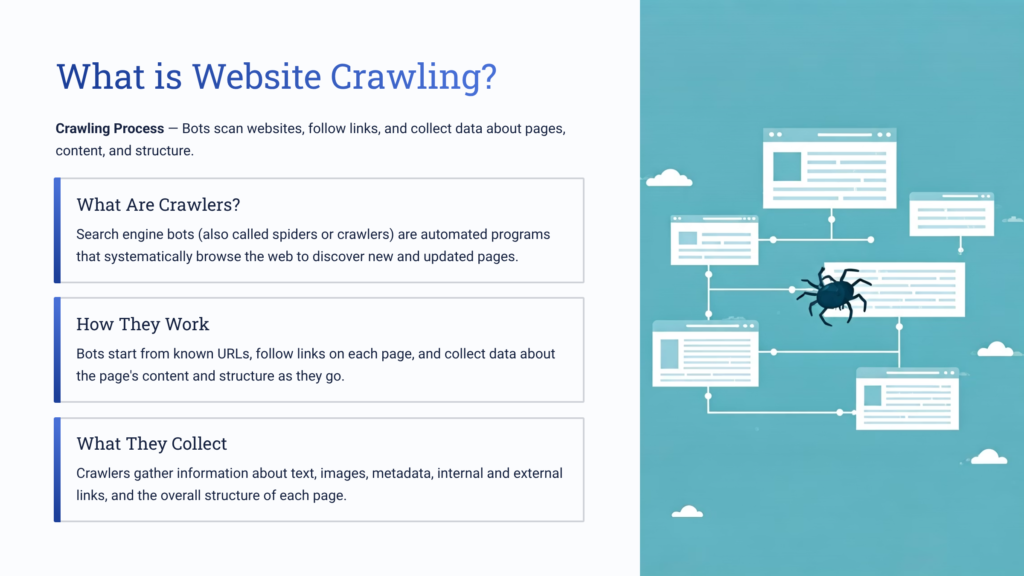 What is Website Crawling