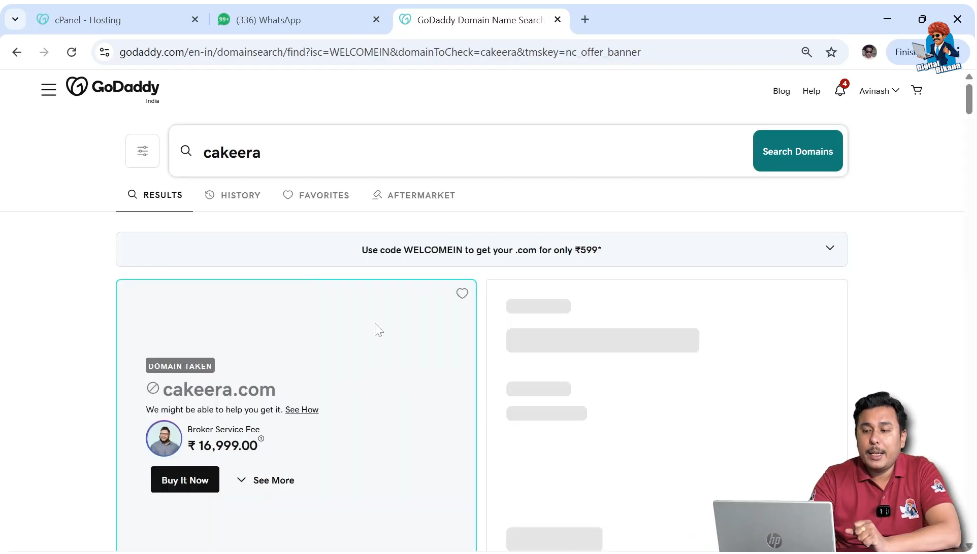 Checking domain availability results in GoDaddy