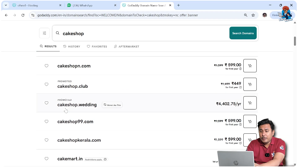 Domain name suggestions with different extensions in GoDaddy