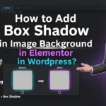 In this article we are going to discuss about How to Add Box Shadow in Image Background in Elementor