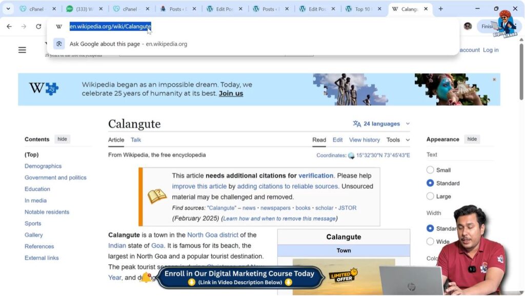 Searching external website link on Google for WordPress hyperlink